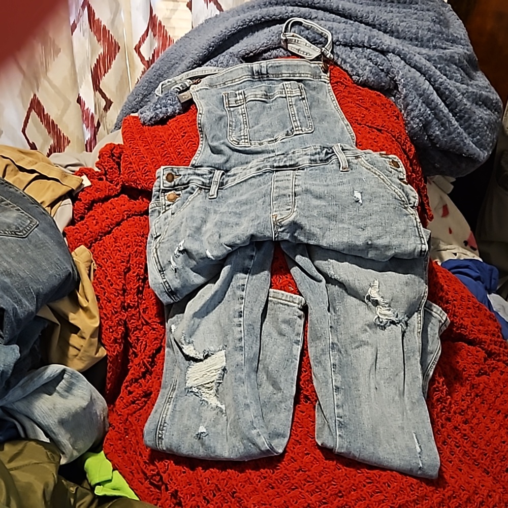 Judy blue overalls